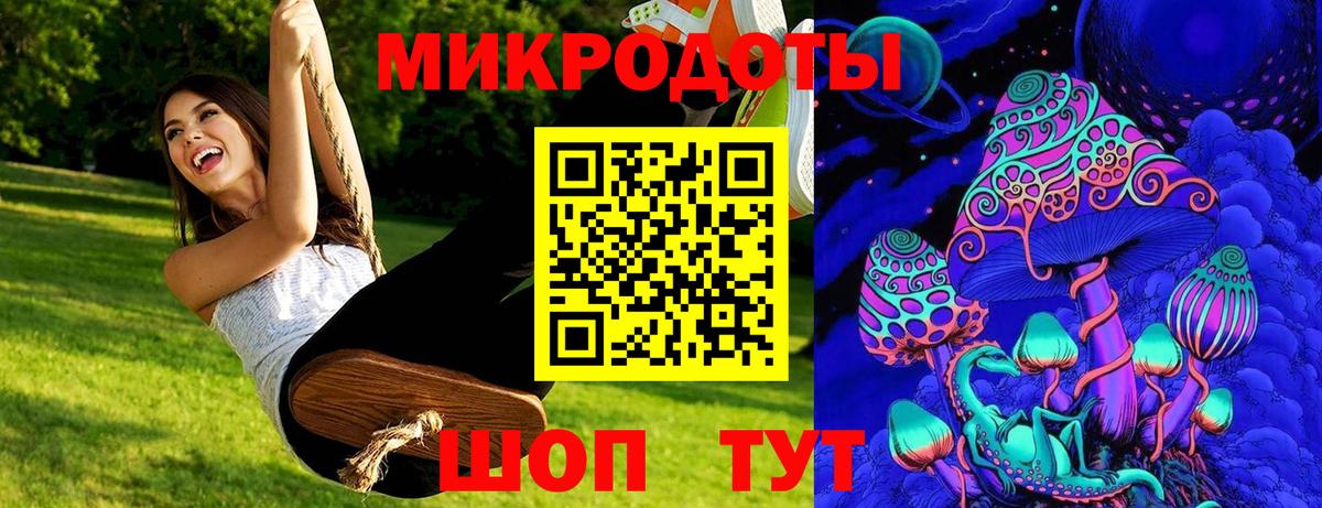 Псилоцибиновые грибы Psilocybe Десногорск